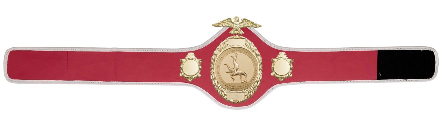 WRESTLING CHAMPIONSHIP BELT-PRO288/S/WRES - 10 COLOURS